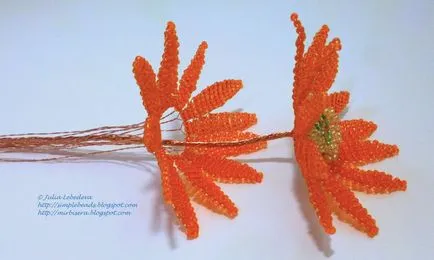 Майсторски клас гербери топчета