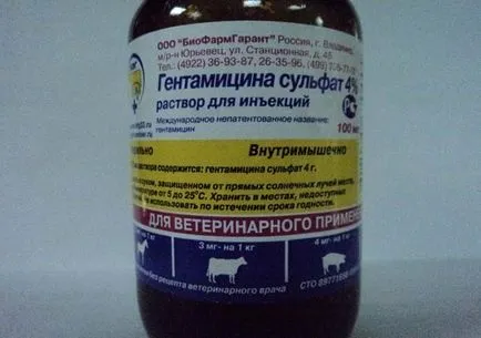 Антибиотици за кучета Антибиотици за кучета