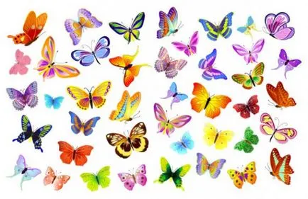 Butterfly като човек
