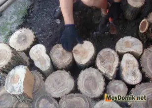Garden пътя на намаляване на дърво Garden пътя на намаляване на дърво
