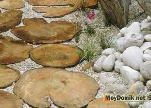 Garden пътя на намаляване на дърво Garden пътя на намаляване на дърво