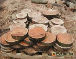Garden пътя на намаляване на дърво Garden пътя на намаляване на дърво