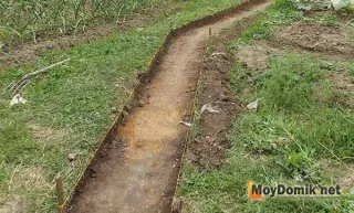 Garden пътя на намаляване на дърво Garden пътя на намаляване на дърво