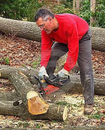 Garden пътя на намаляване на дърво