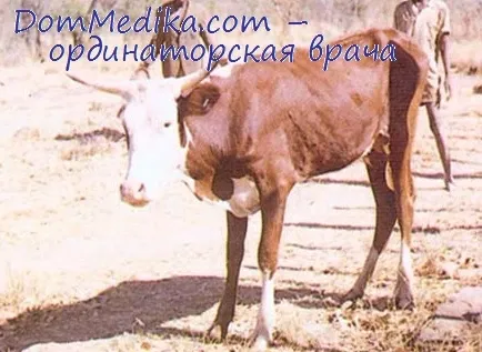 трансмисионен механизъм е