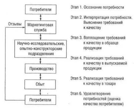 Какво е абсолютната категория Какво е абсолютната категория