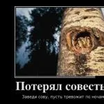 Как да седне на турски език