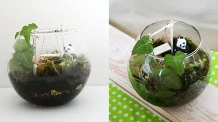 Florarium собствените си ръце майстор класа, снимка, растения