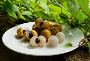 Longan плодове от Тайланд - подробно описание на възможните за отглеждането му в дома