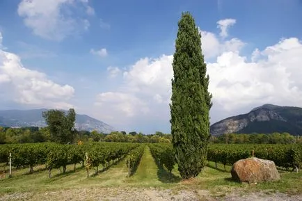 Franciacorta изход село - Италия на Руски