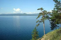 Къде в предградията да ловят безплатно