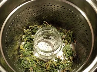 Hydrolat у дома - готвене технология със снимки