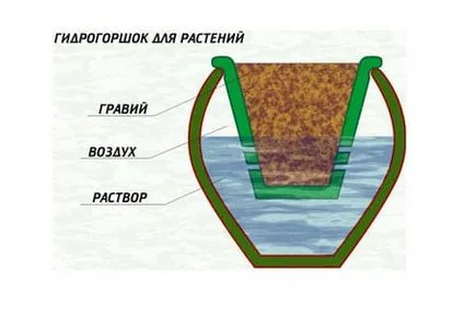 Хидропоника за цветя и зеленчуци с ръце пълно ръководство за начинаещи