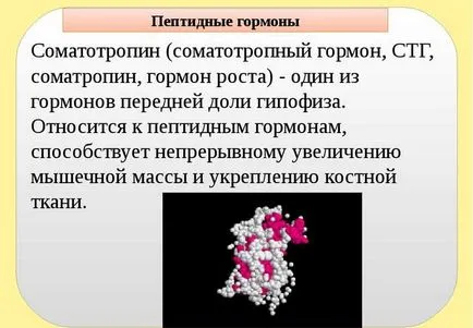 хипофизни хормони и техните функции маса