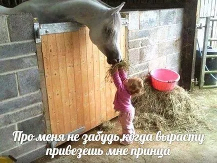 Основната тайна на посещение мъже от мечтите си 1