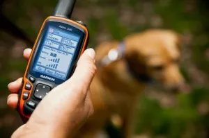 GPS-тракер за кучета (ловни яка Navigator), на кого ще бъде полезен и ще се побере в джоба