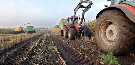 Държавната програма на съвременните реалности на развитие на селското стопанство - celhozportal