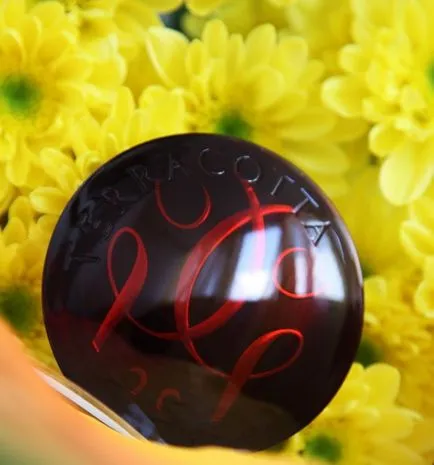 Guerlain теракота светлина Poudre bronzante Legere