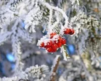 След изпаряване, кипене, кондензация