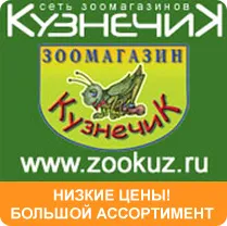 Изкуствени кученца хранене