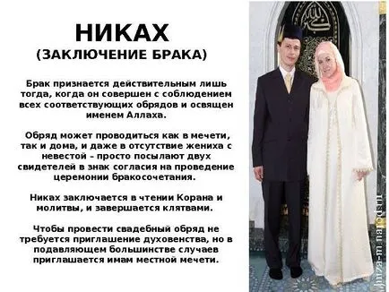 Ислям ислям (на арабски - послушание -)