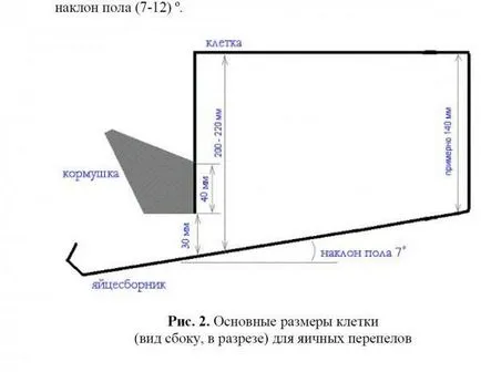 Инструкции за пъдпъдъчи клетки със собствените си ръце
