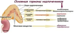Как боли надбъбречните симптоми