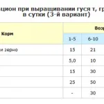 Как и какво да се хранят гъските в първите дни и седмици на съдържание живот и подробно в дома