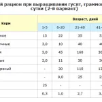 Как и какво да се хранят гъските в първите дни и седмици на съдържание живот и подробно в дома