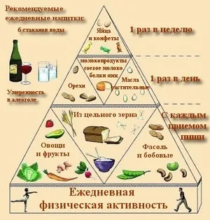 Какви продукти трябва да бъде в диетата (кои продукти трябва да са в диетата) Какви продукти трябва да бъде в диетата