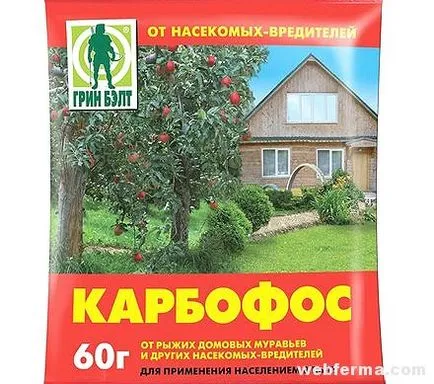 Как да се отървем от пиле въшки (peroedov) в кокошарника