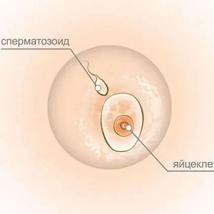 Как най-добре да се отърве от нежеланото окосмяване