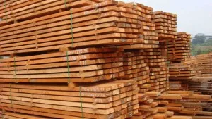 Как може да изсъхне дървесината у дома