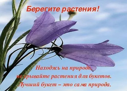 Как да се направи плакат на тема - да се грижи за растенията! (Светът) Как да се направи плакат на тема - да се грижи за растенията!