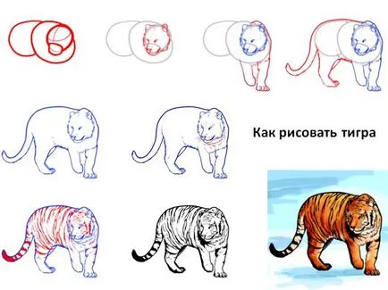 Как да се направи тигър молив етапи