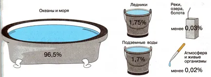 Какво е името на земята и водата черупка, от която е