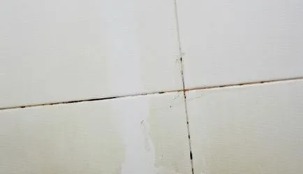 Как да се чисти плочки в банята да се измие добре, отколкото, че блестяха, какво означава