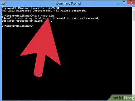 Как да определите коя версия на Java