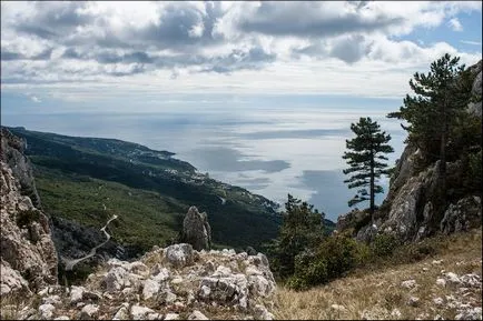 Тъй като аз бях пиене на чай