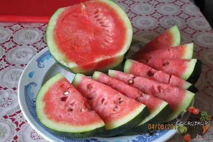 Отглеждане дини
