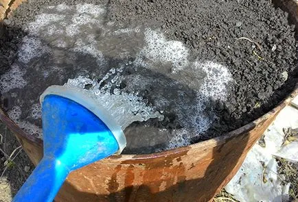 Как да се засадят краставици в цевта
