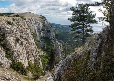 Тъй като аз бях пиене на чай
