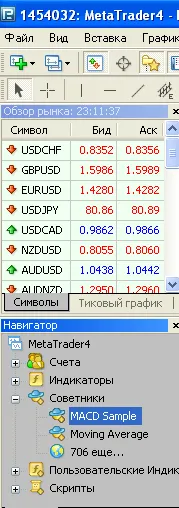 Как да използвате Форекс съветник