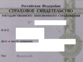 Как да се получи или да разберете чрез публични услуги SNILS