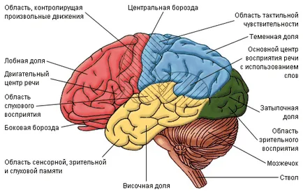 Как да се увеличи либидото при мъжете преглед на най-популярните методи и препарати