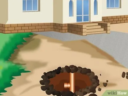 Как да се сложи дланта на едната (седмици след засаждане) Как да се засадят палмово дърво 1