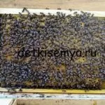 Как да се къпят в кръщението на жените, всичко на децата и семейството (кръщението) Как да се къпе една жена кръстени, всичко на децата и семейството