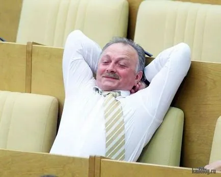 Как Държавната Дума
