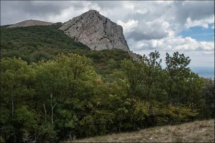 Тъй като аз бях пиене на чай