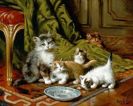 Cnitsya котка с котенца Cnitsya котка с котенца